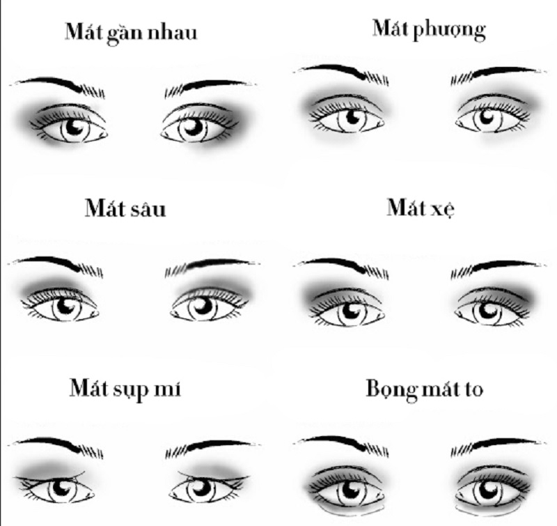 Hình ảnh các kiểu mắt theo nhân tướng học