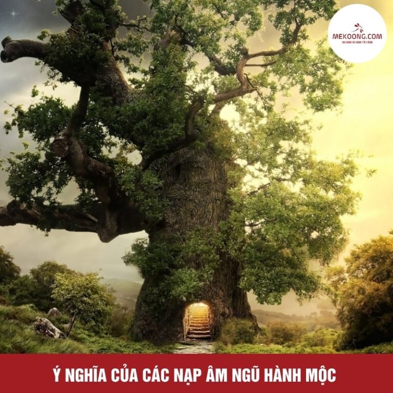 Mệnh Mộc Hợp Màu Gì 2026? Giải Mã Sâu Sắc Ý Nghĩa và Ứng Dụng Thực Tế Màu hợp mệnh Mộc năm 2026 cho may mắn