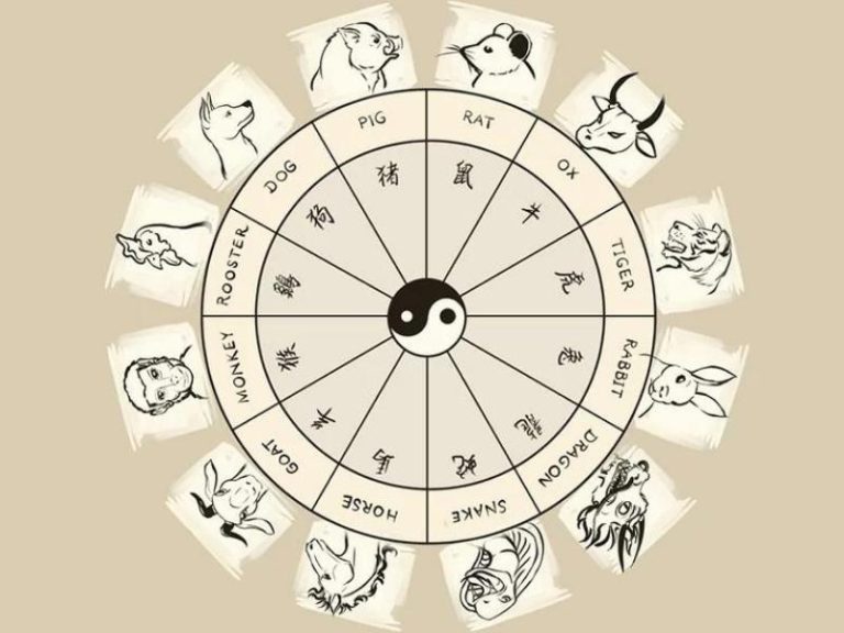 Tứ Hành Xung tuổi Tý và những tuổi xung khắc