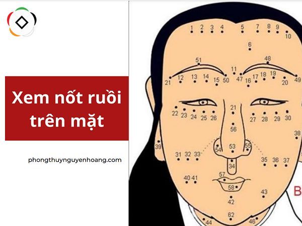 Vị trí nốt ruồi trên mặt nam nữ