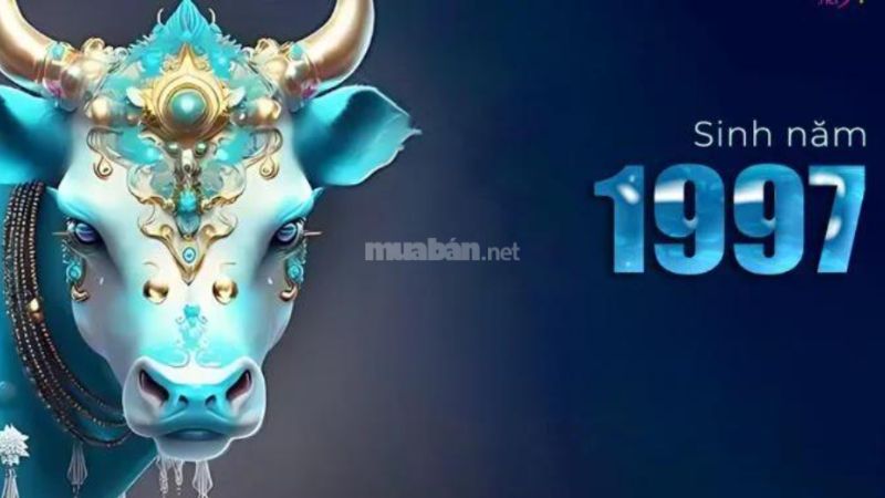Tử vi nữ Nhâm Tuất 1982 năm 2025 chi tiết