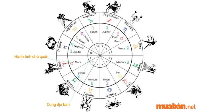 Cách xem bản đồ sao chi tiết cho người mới