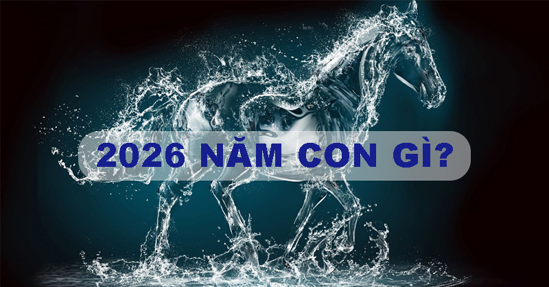 Tử vi nam Giáp Ngọ 2014 năm 2026 chi tiết