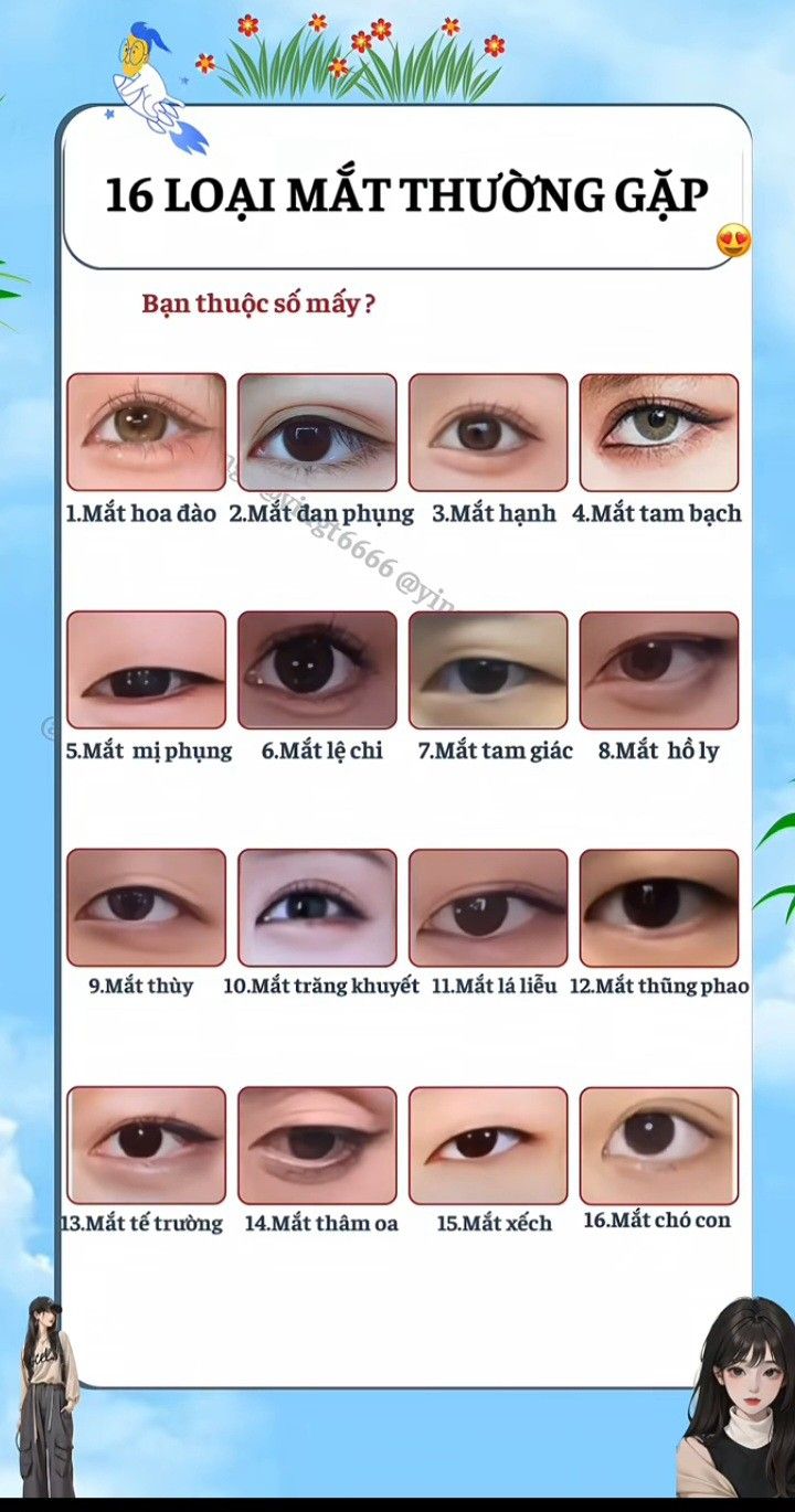 Hình vẽ đặc điểm mắt không đều
