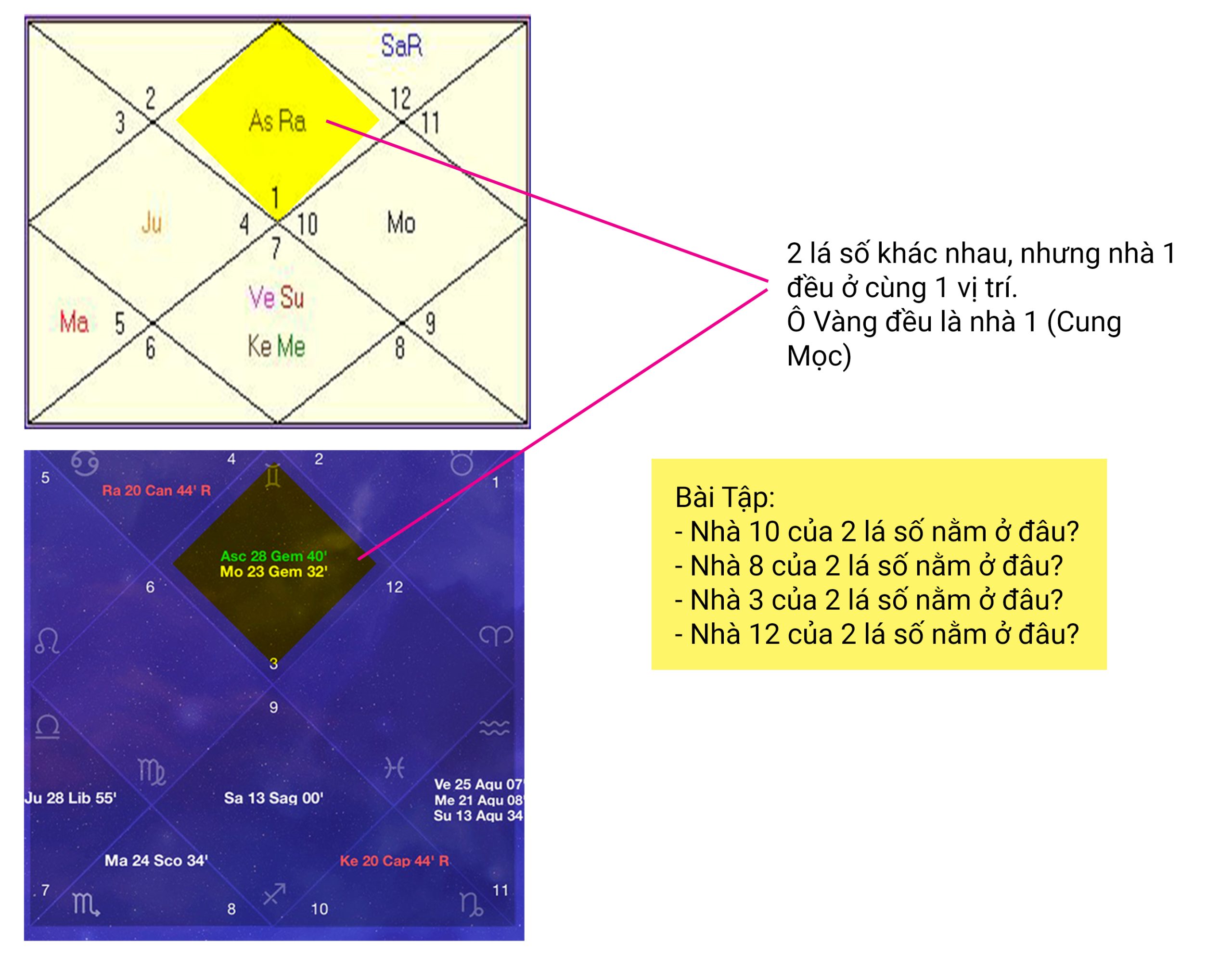 Chiêm tinh Vệ Đà cho người sinh ngày 19