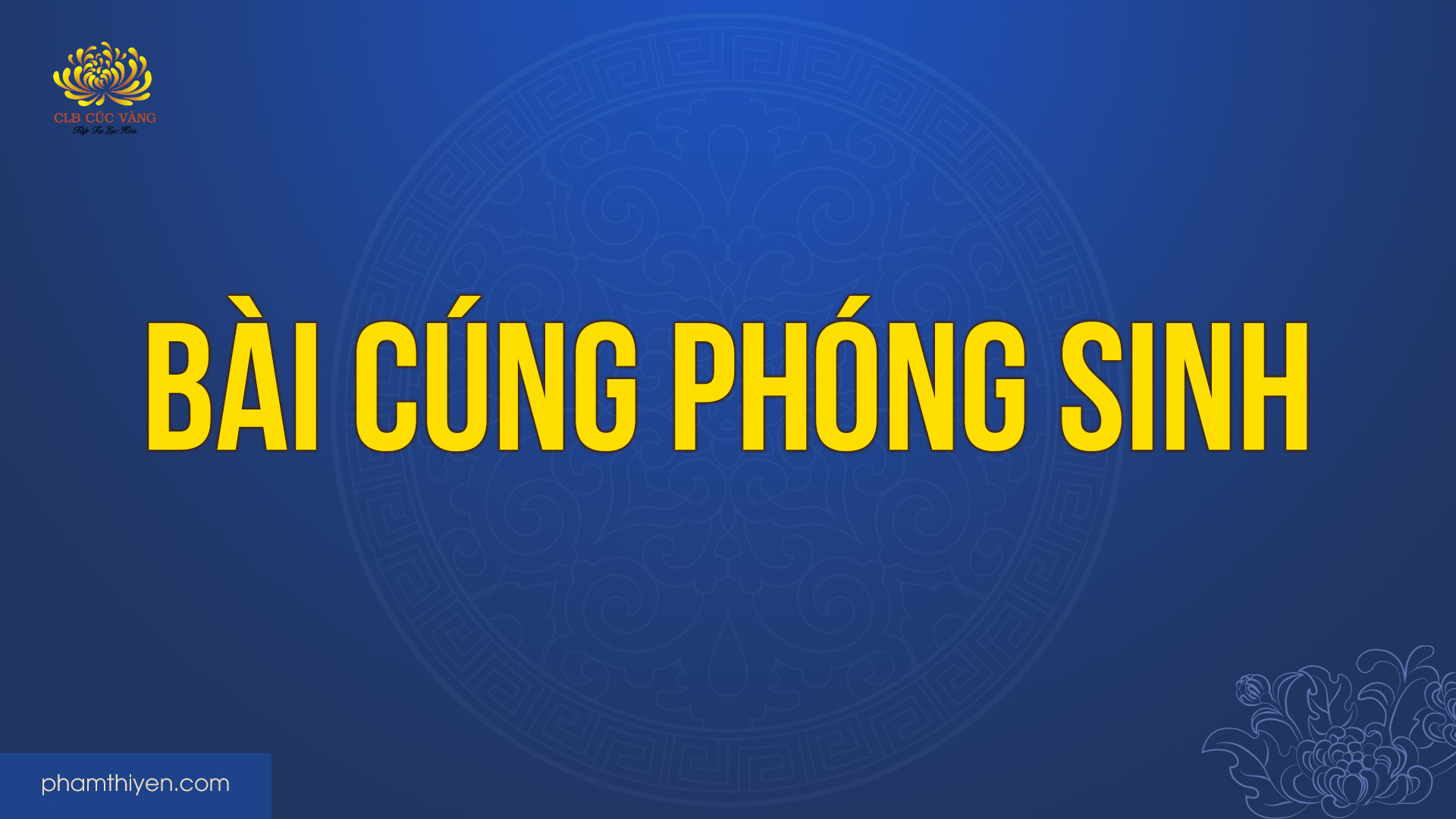 Bài cúng phóng sinh đúng cách và ý nghĩa nhất