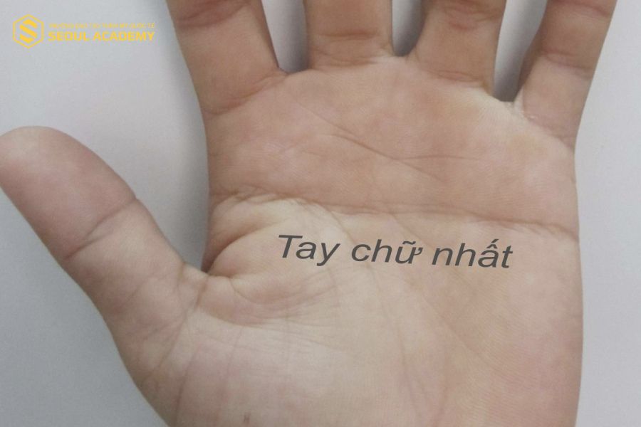 Bàn tay có đường chỉ tay chữ nhất