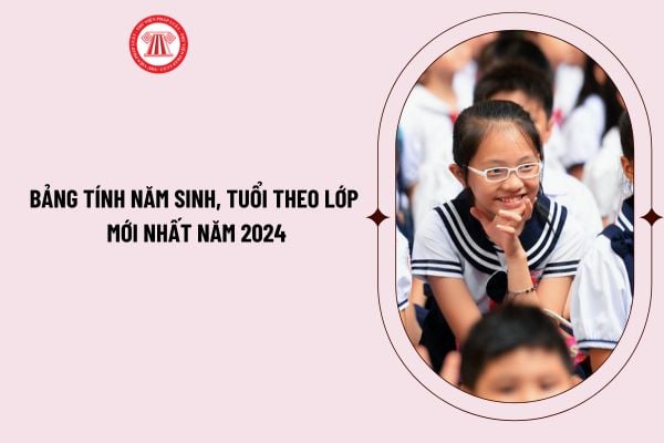 Tuổi của 2k19 và lớp học năm 2026