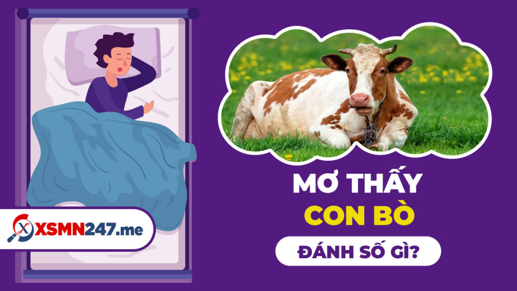 Bố đánh đề nên đánh con số gì khi mơ thấy