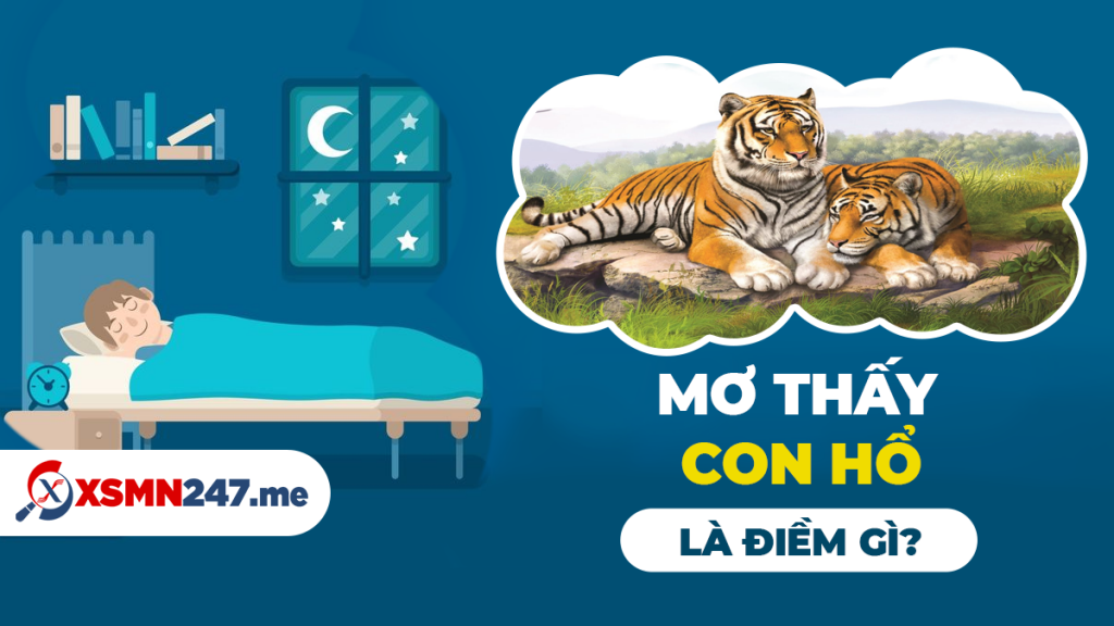 hổ vàng trong giấc mơ và con số may mắn