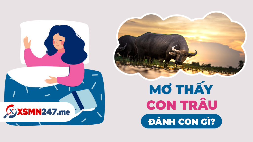 Mơ thấy con trâu nên đánh số gì