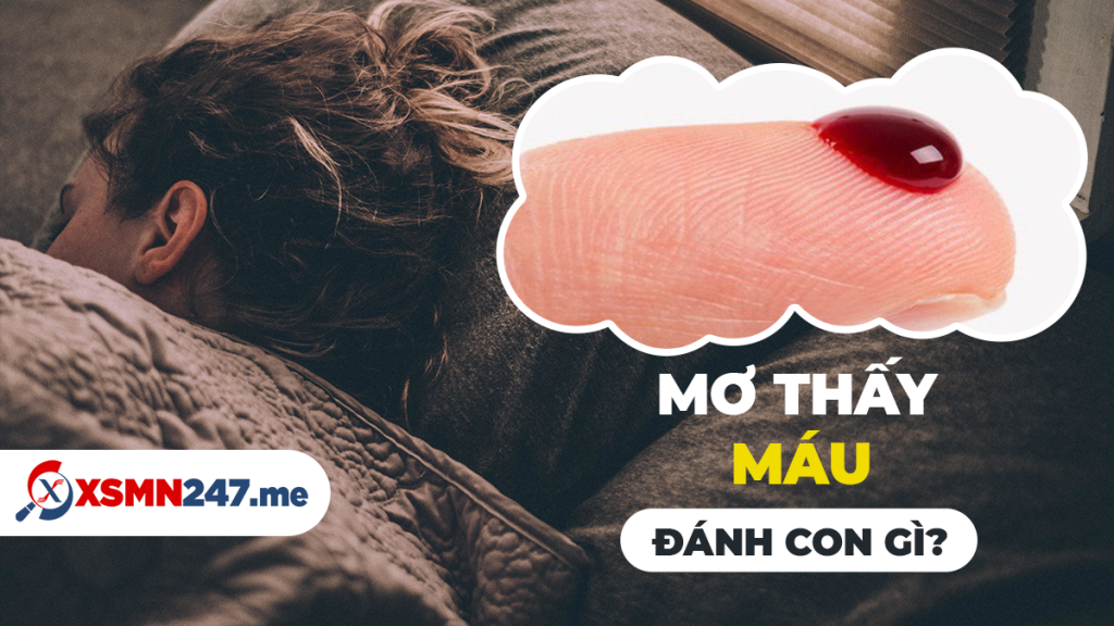 Phụ nữ mơ thấy chảy máu vùng kín nên đánh con gì