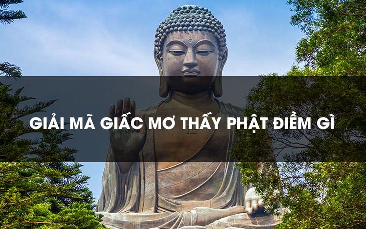 Phật hiện trong giấc mơ nên đánh con gì