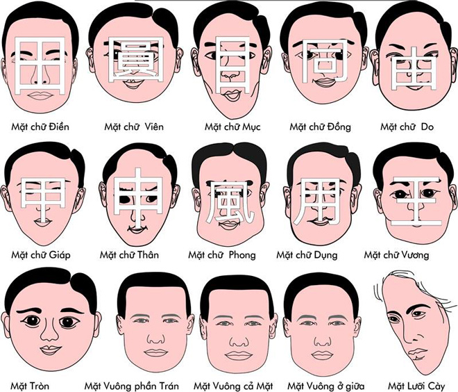 Hình ảnh các dạng khuôn mặt cơ bản