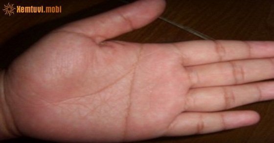 Bàn tay với chỉ tay hình chữ nhất