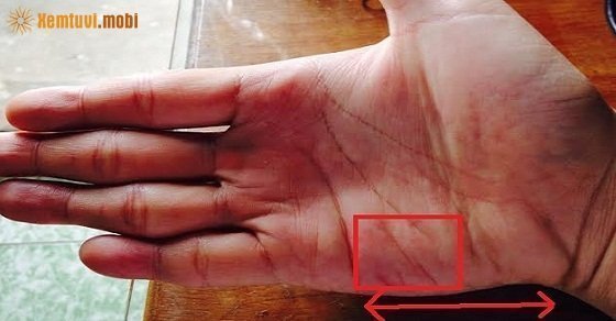 Xem chỉ tay đường xuất ngoại chi tiết