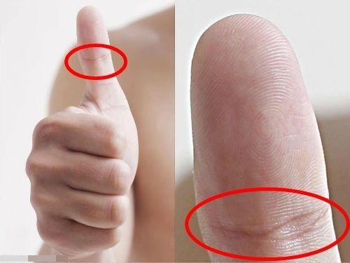 Bàn tay với các ngón rõ nét