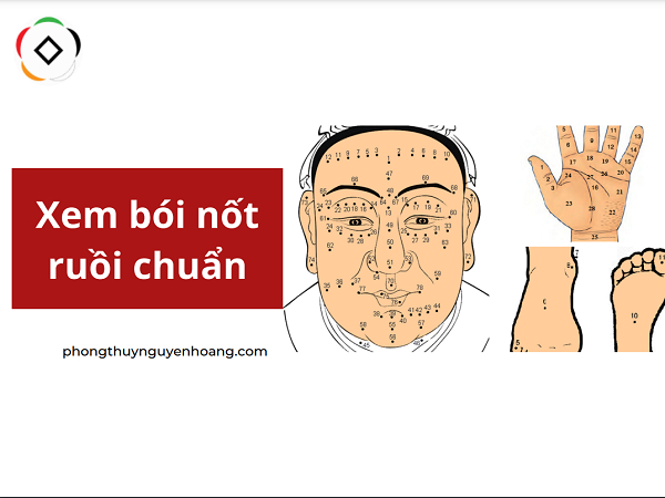 Xem bói nốt ruồi toàn thân nam nữ