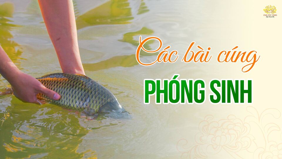 Bài cúng phóng sinh đơn giản tại nhà