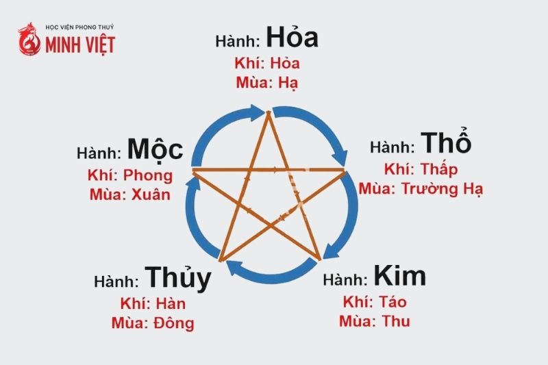 Ngũ hành tương sinh là gì? Phân tích sâu về ý nghĩa, ứng dụng và giải mã thực tế Sơ đồ ngũ hành tương sinh trong phong thủy