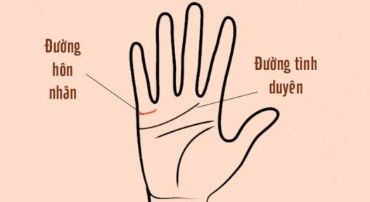 Hướng dẫn coi chỉ tay cơ bản