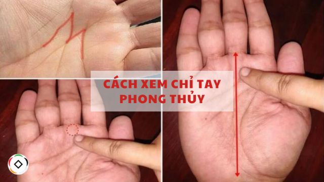 Cận cảnh bàn tay để xem chỉ tay