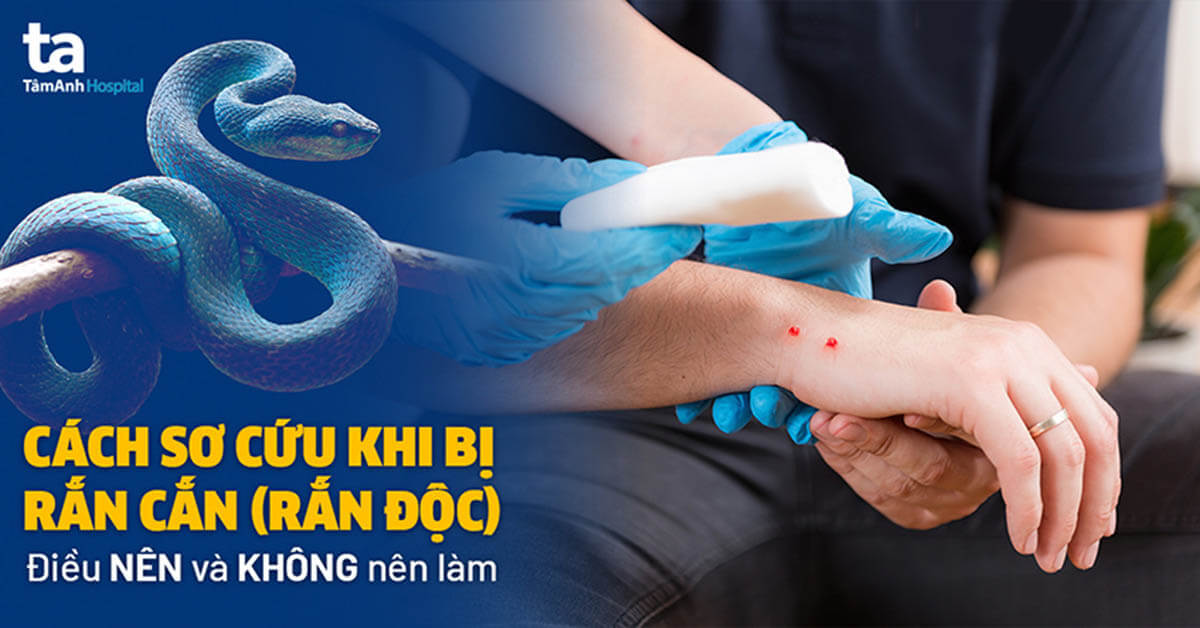 Người nằm mơ thấy bị rắn cắn trong giấc mơ