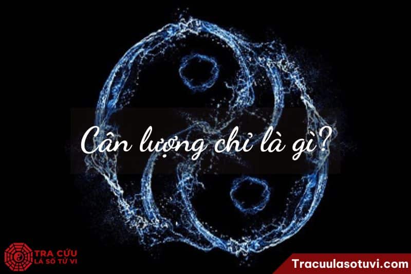 can chi trong tử vi và ý nghĩa phong thủy