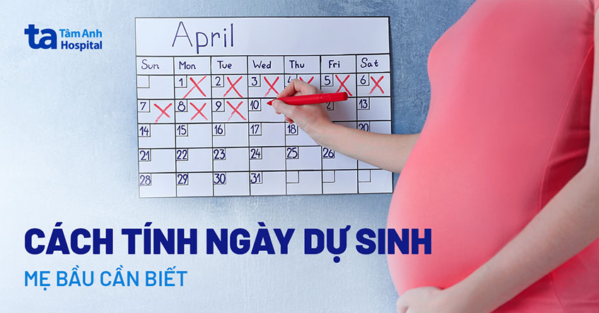 Bản đồ chiêm tinh Vệ Đà cho người sinh ngày 2