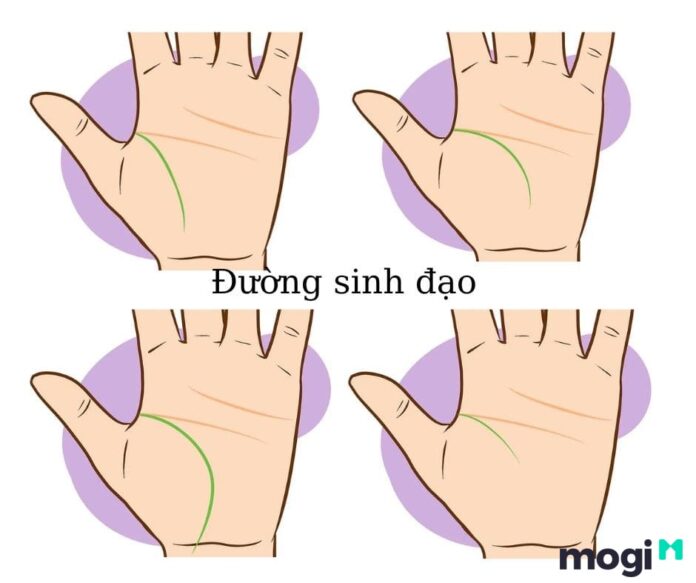 Hướng dẫn xem chỉ tay tại nhà