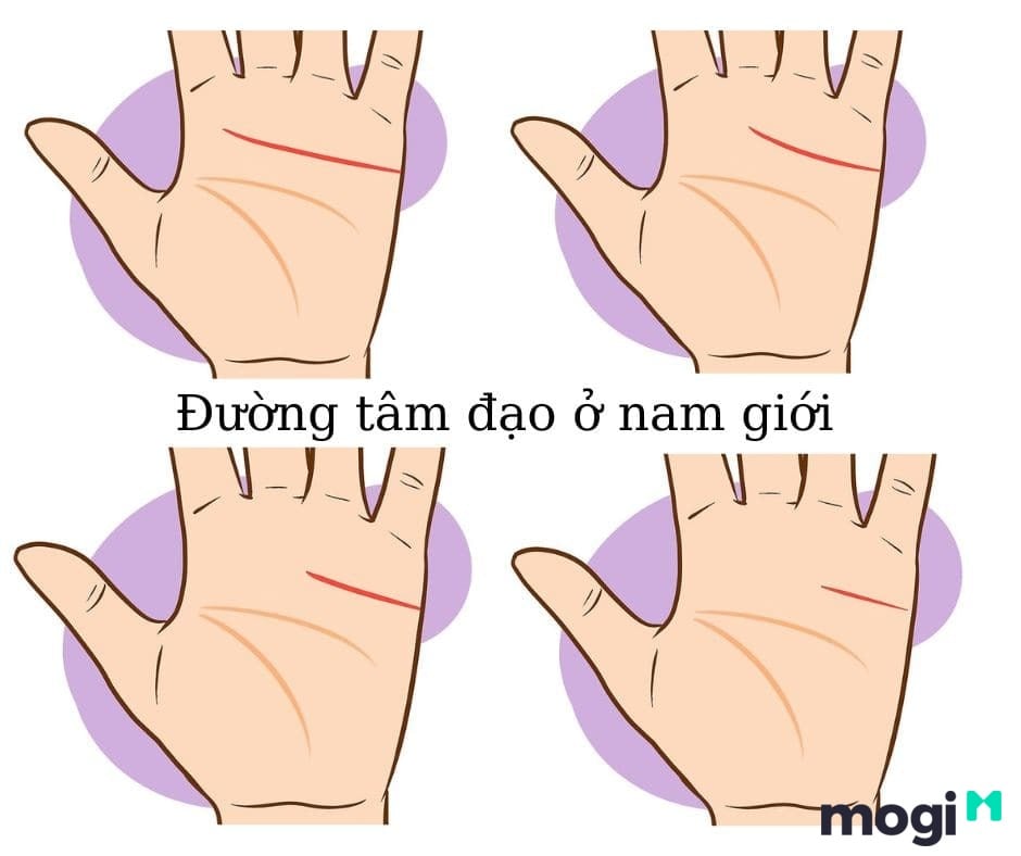 Cách xem chỉ tay tại nhà đơn giản