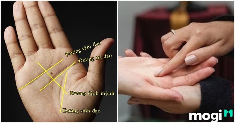 Cách xem chỉ tay tay phải tại nhà