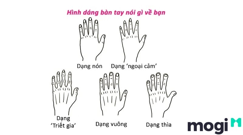 Bàn tay khi xem chỉ tay tại nhà