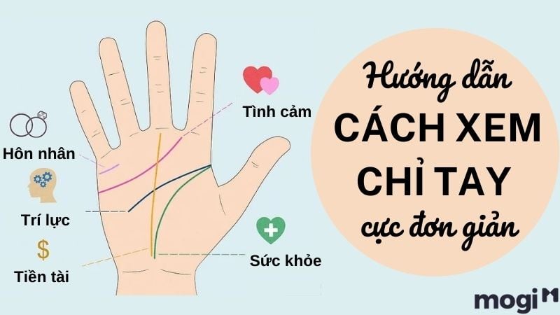 Ảnh hướng dẫn xem chỉ tay chi tiết