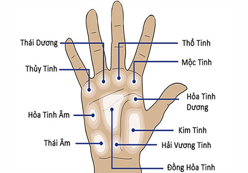 Minh họa cách xem chỉ tay cơ bản