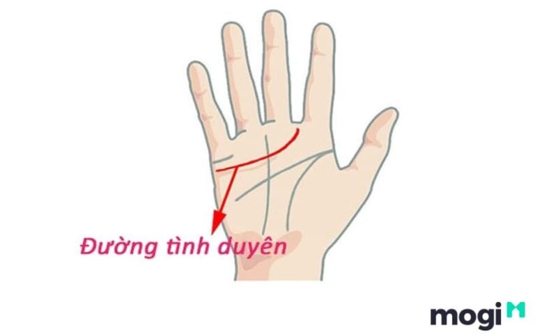 Cách xem đường trí tuệ tại nhà