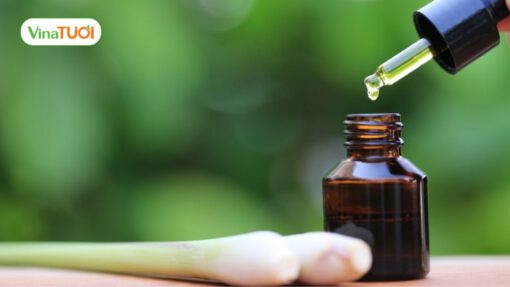 Cúng xả xui đầu năm tại nhà theo phong tục Việt