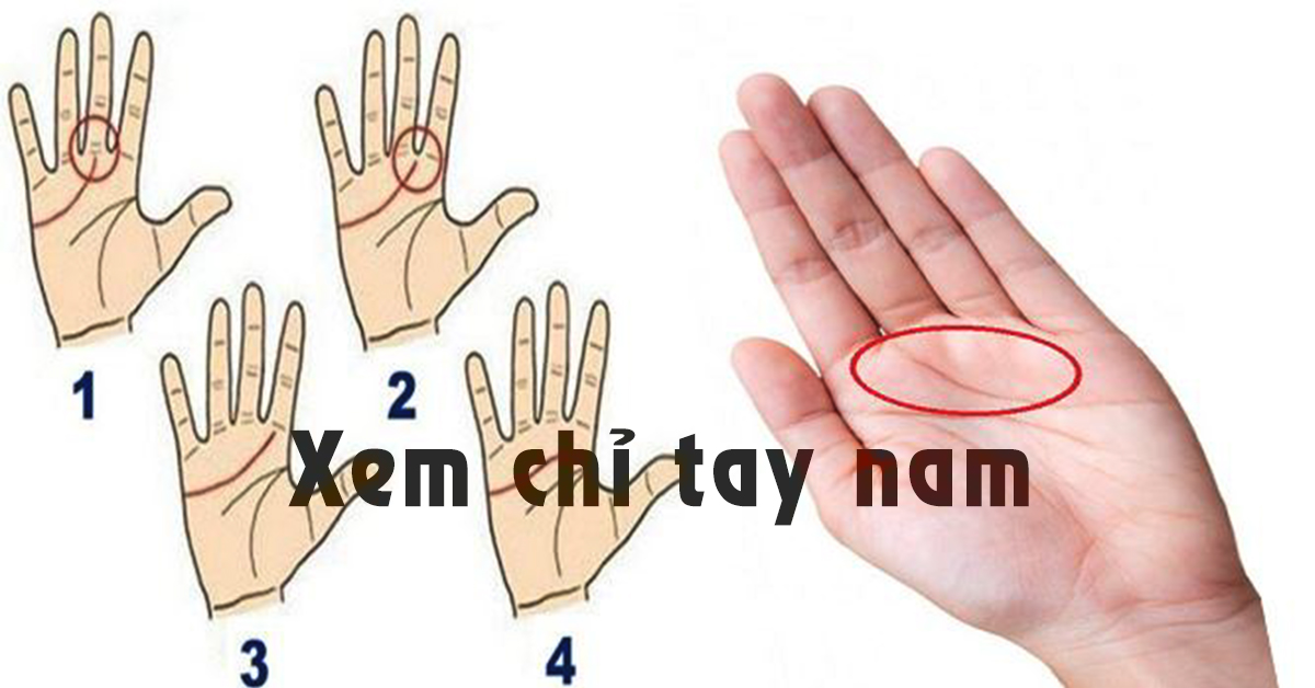 Xem chỉ tay nam với hình minh họa