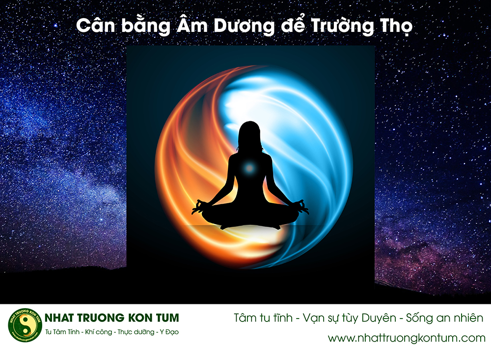 Âm Dương Trong Cơ Thể Con Người: Góc Nhìn Thực Tiễn Và Ứng Dụng Phong Thuỷ Hiện Đại Cân bằng âm dương trong cơ thể con người