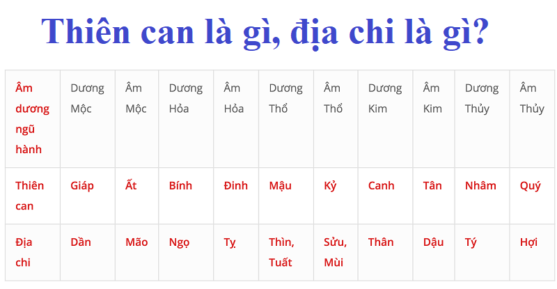 12 Địa Chi Gồm Những Gì? Phân Tích Sâu Ý Nghĩa, Ứng Dụng Thực Tế Trong Đời Sống Hiện Đại địa chi gồm Tý Sửu Dần Mão Thìn Tỵ Ngọ Mùi Thân Dậu Tuất Hợi