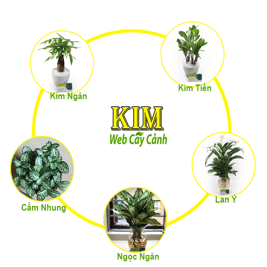 Phòng khách hiện đại hợp mệnh kim sang trọng