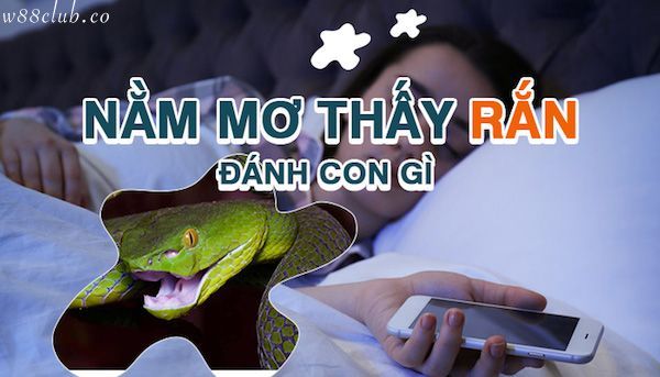 Nằm mơ thấy rắn nên đánh con số gì