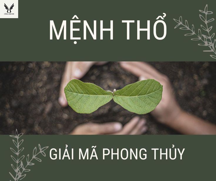 Mệnh Thổ hợp mệnh nào? Giải mã sâu sắc bí mật phong thuỷ và thực tiễn ứng dụng Các mệnh hợp với mệnh Thổ trong phong thủy