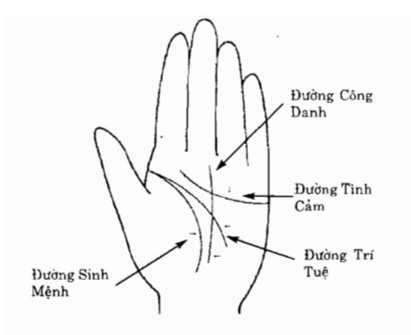 Quan sát đường chỉ tay để hiểu về bản thân