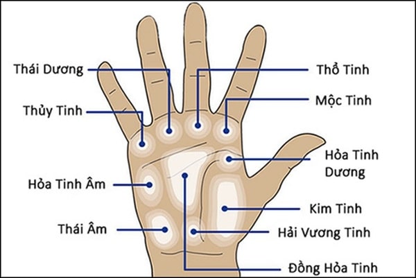 Xem chỉ tay dự đoán vận mệnh