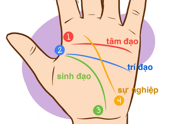 Bàn tay với chỉ tay chữ nhất