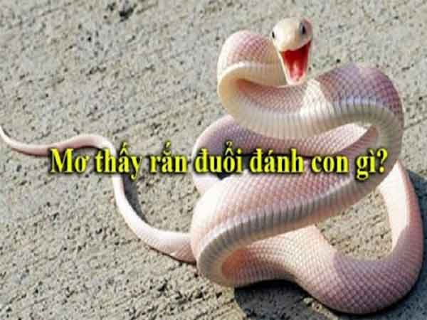 Rắn cắn mình trong mơ nên đánh đề con gì