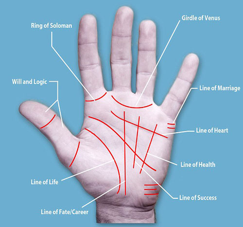 Coi vận mệnh qua bàn tay