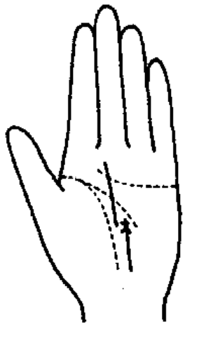 Đường công danh trên lòng bàn tay