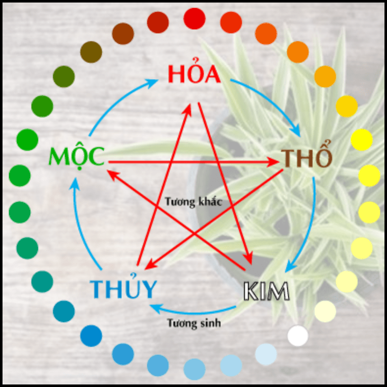Cách cải vận theo ngũ hành: Hành trình chuyển hóa vận mệnh thực tế từ trải nghiệm thực tiễn Cách cải vận theo ngũ hành hiệu quả